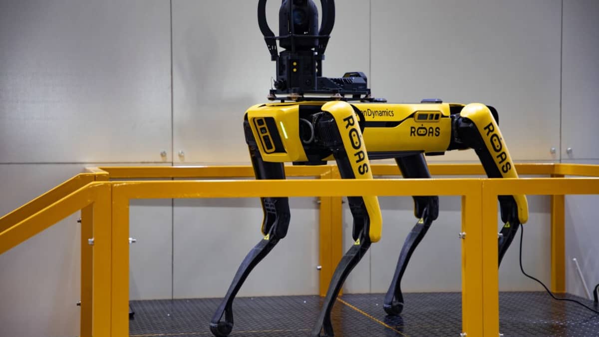 Robot dog on sale