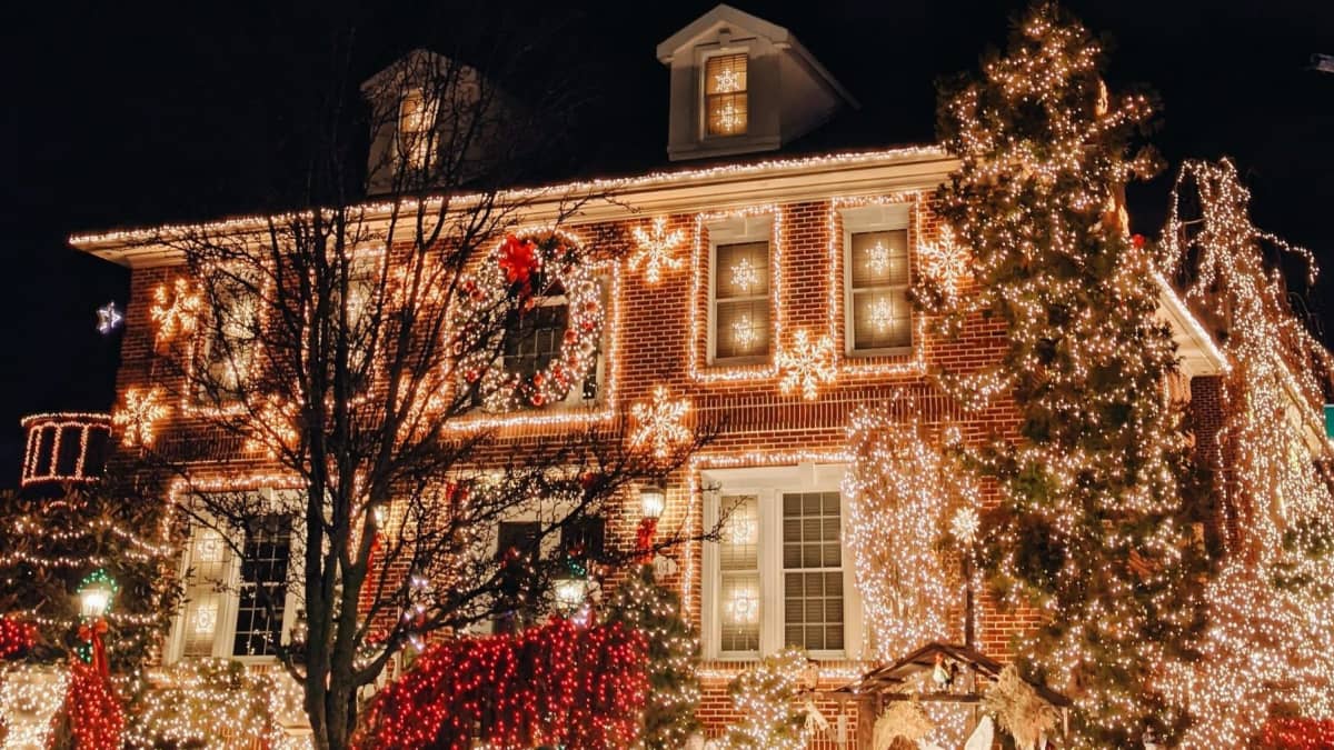 The christmas lights hot sale