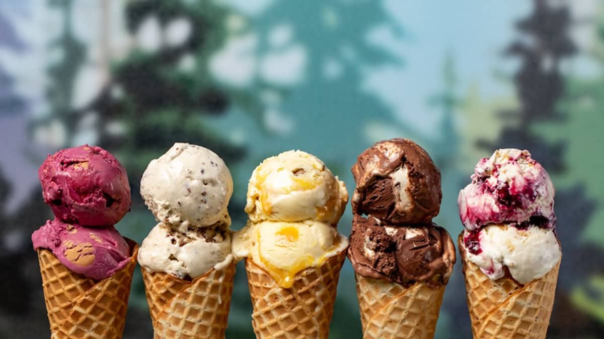 Ice cream flavours discount