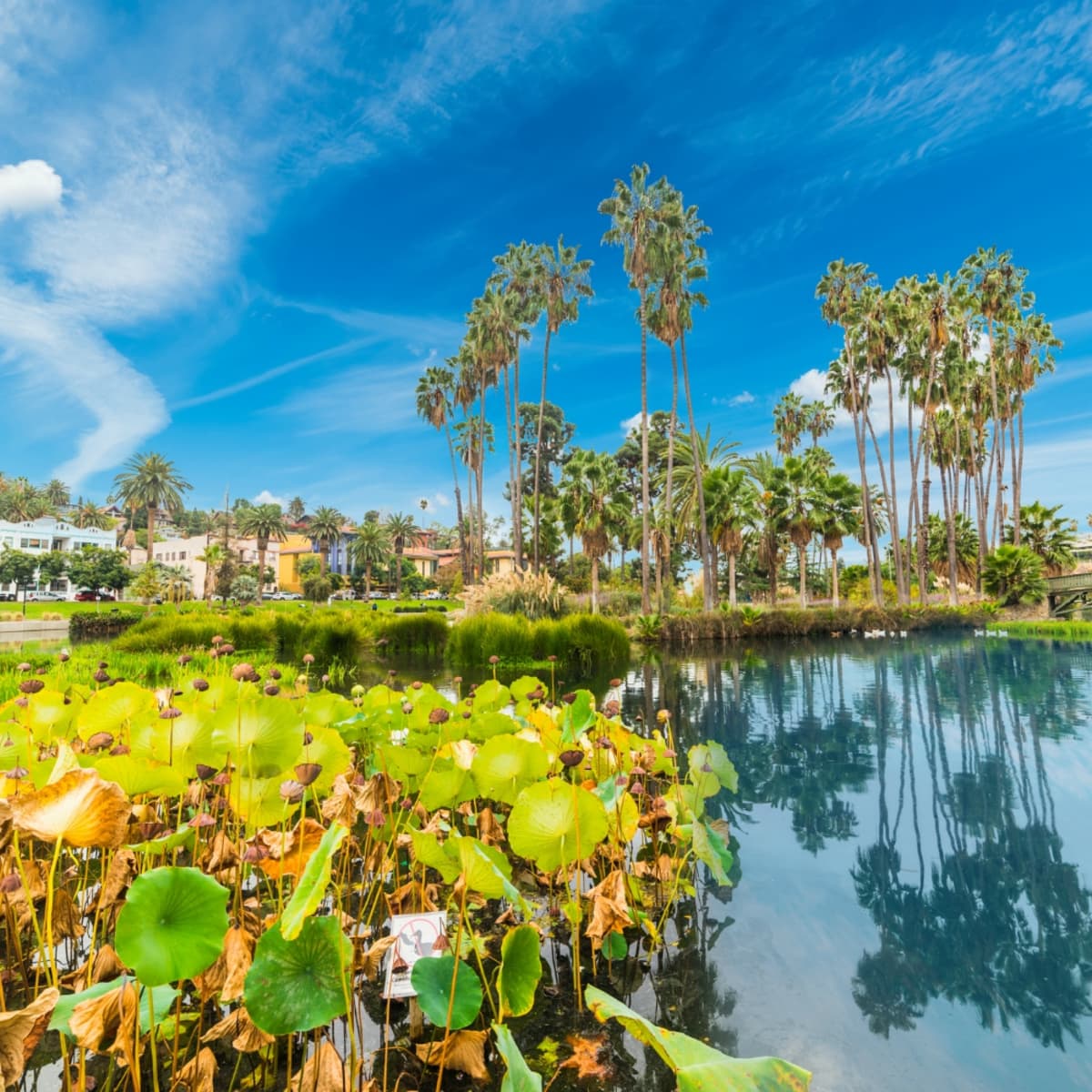 Echo Park Closed for Repairs? Sources Say the Park Will be Fenced - LAmag -  Culture, Food, Fashion, News & Los Angeles
