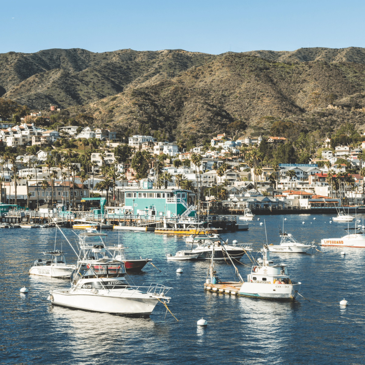 Catalina Souvenir Shop