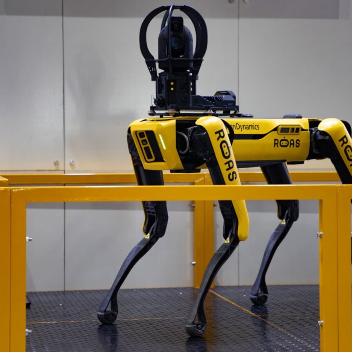 Police robot dog shop