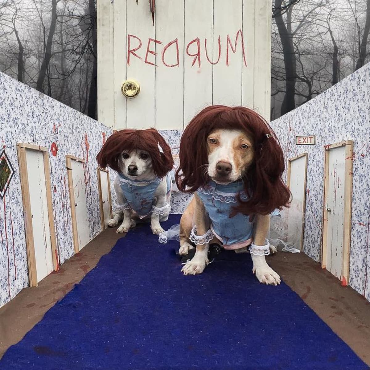 Twins from the cheap shining costume
