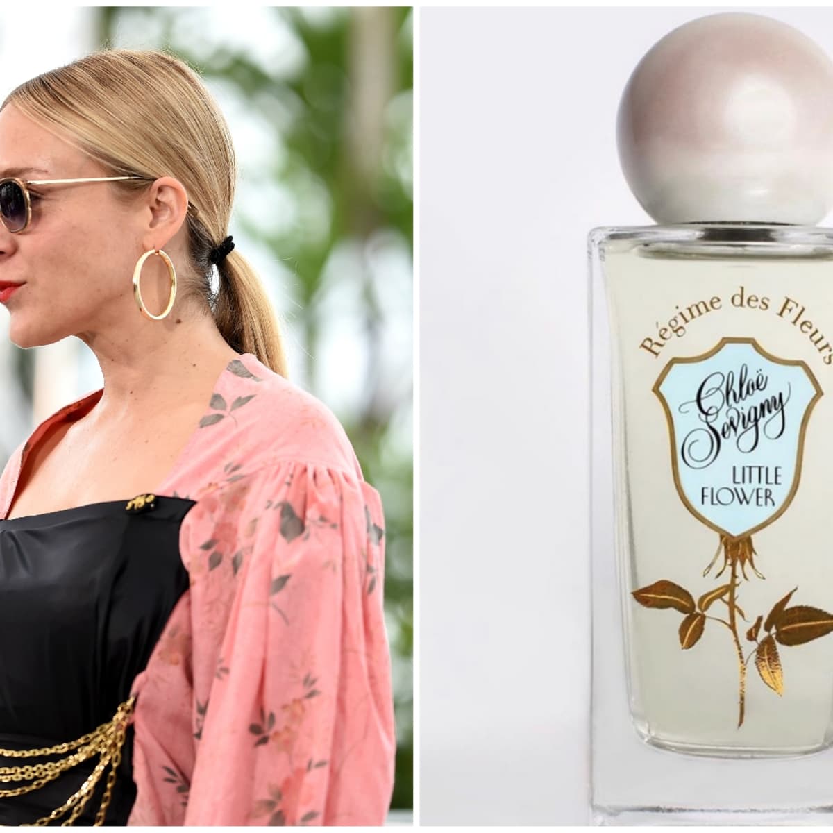 Regime des sales fleurs chloe sevigny