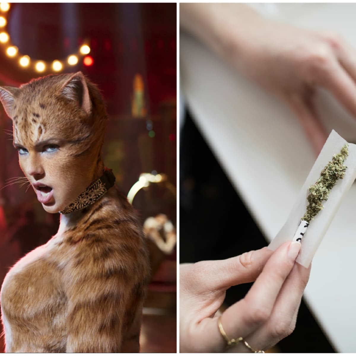 Cats the sale movie