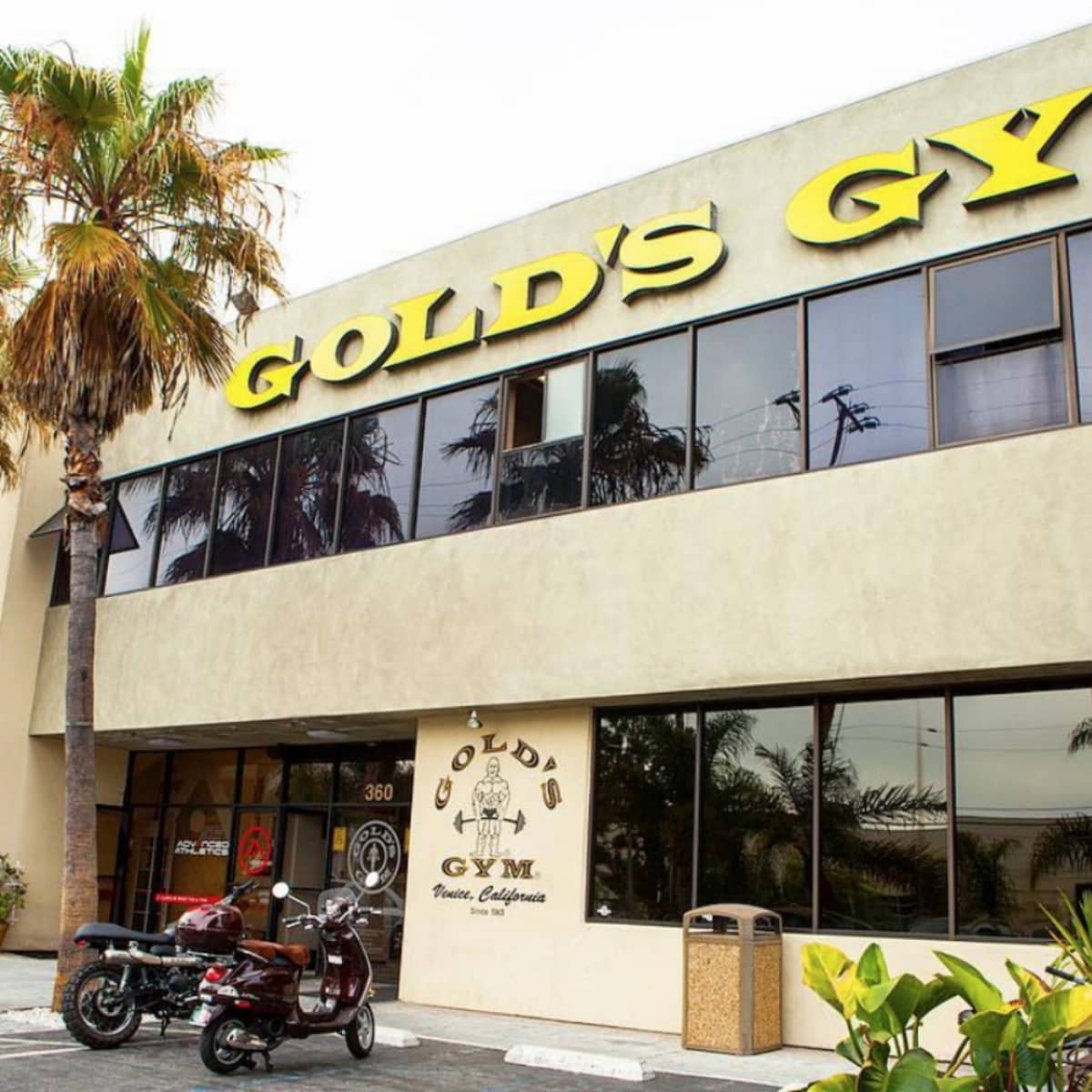 Gold's Gym Files for Bankruptcy, but Venice Location Will Be Spared - LAmag