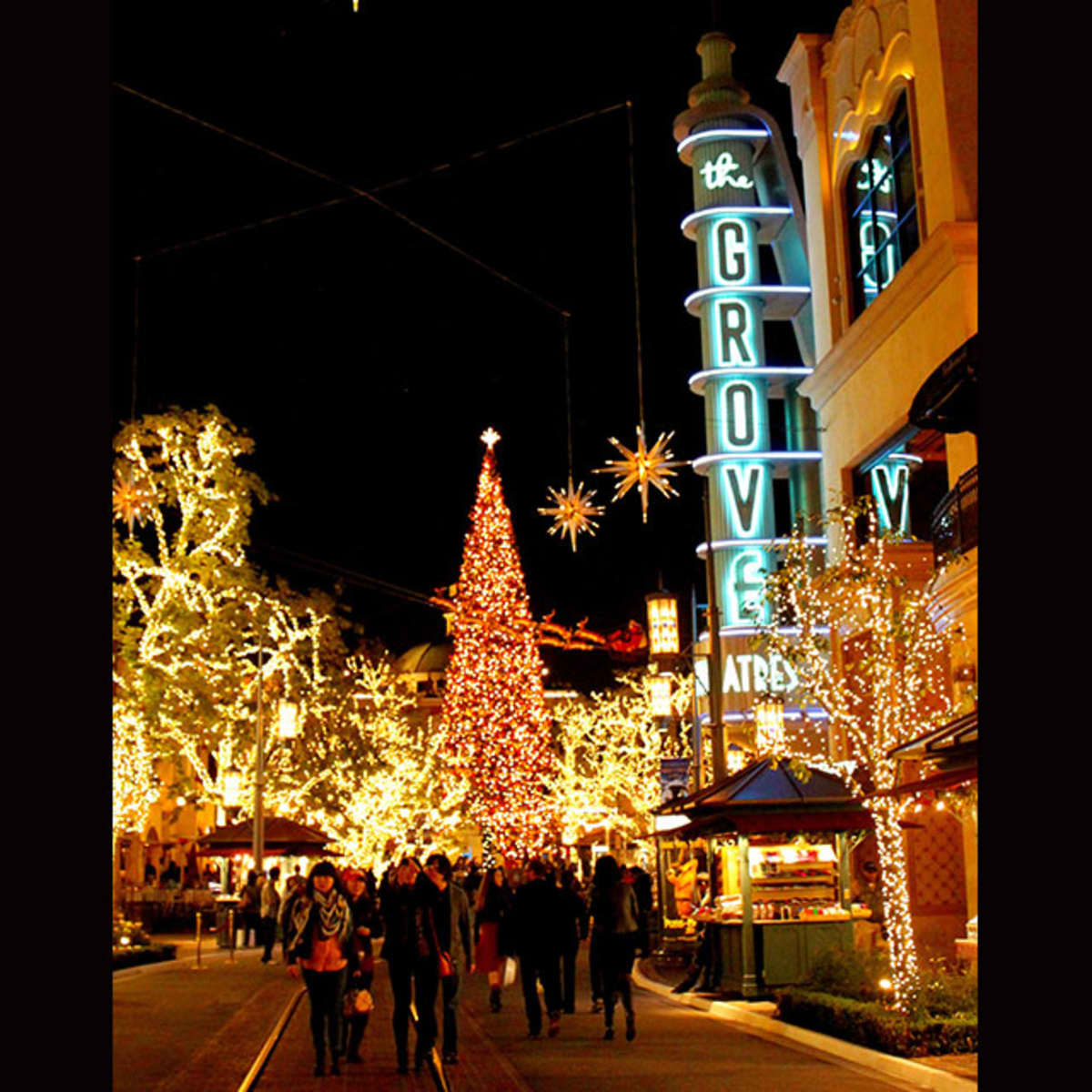 The grove hot sale