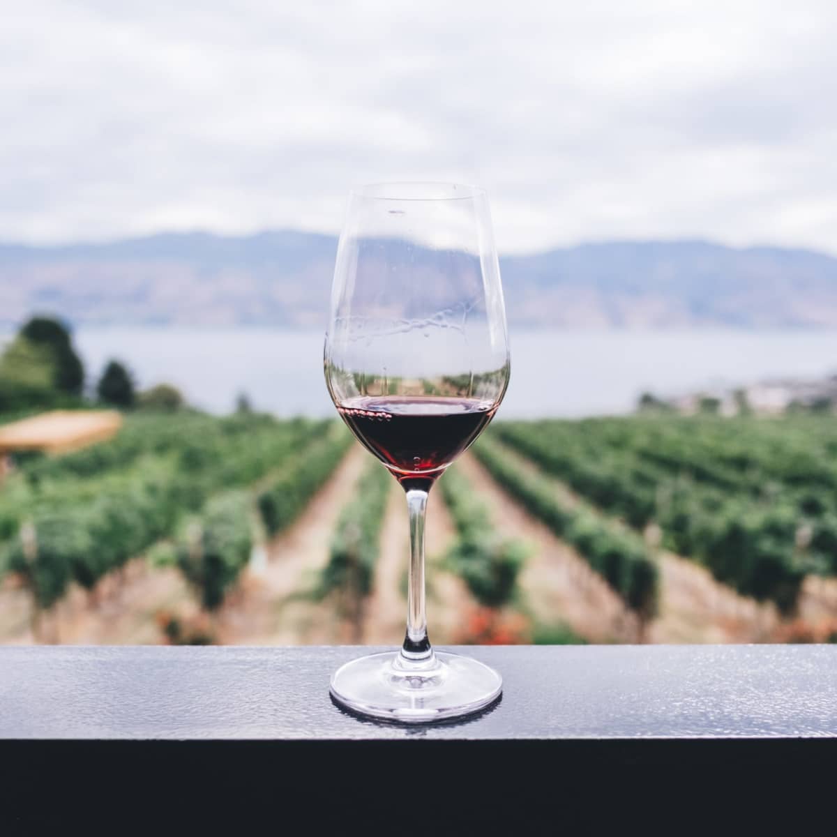 Wine getaways 2025 near me