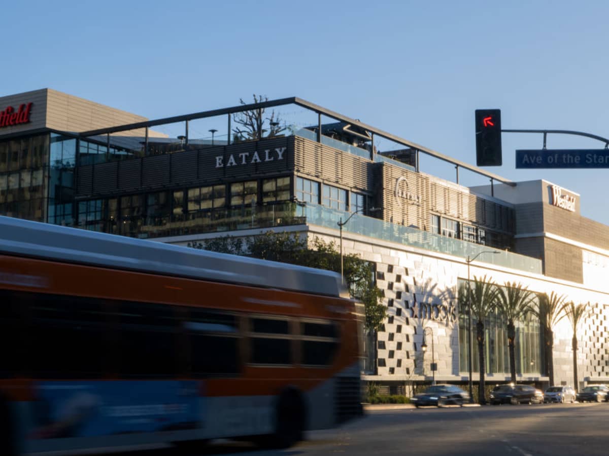 Mob-style Smash-and-Grab Robbery Rocks LA's Topanga Mall - LAmag - Culture,  Food, Fashion, News & Los Angeles