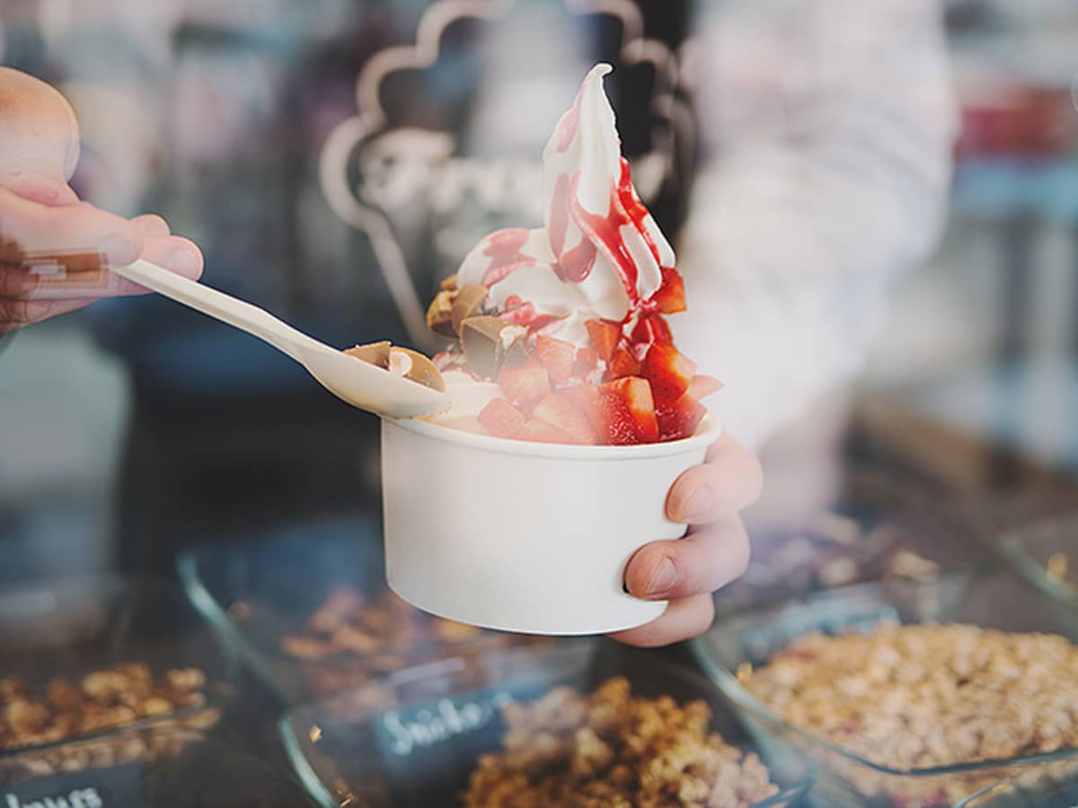 Penguins frozen yogurt discount