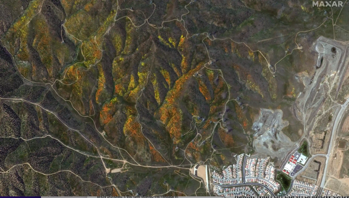 Wet Winter Rewards California with a Superbloom Seen From Space LAmag