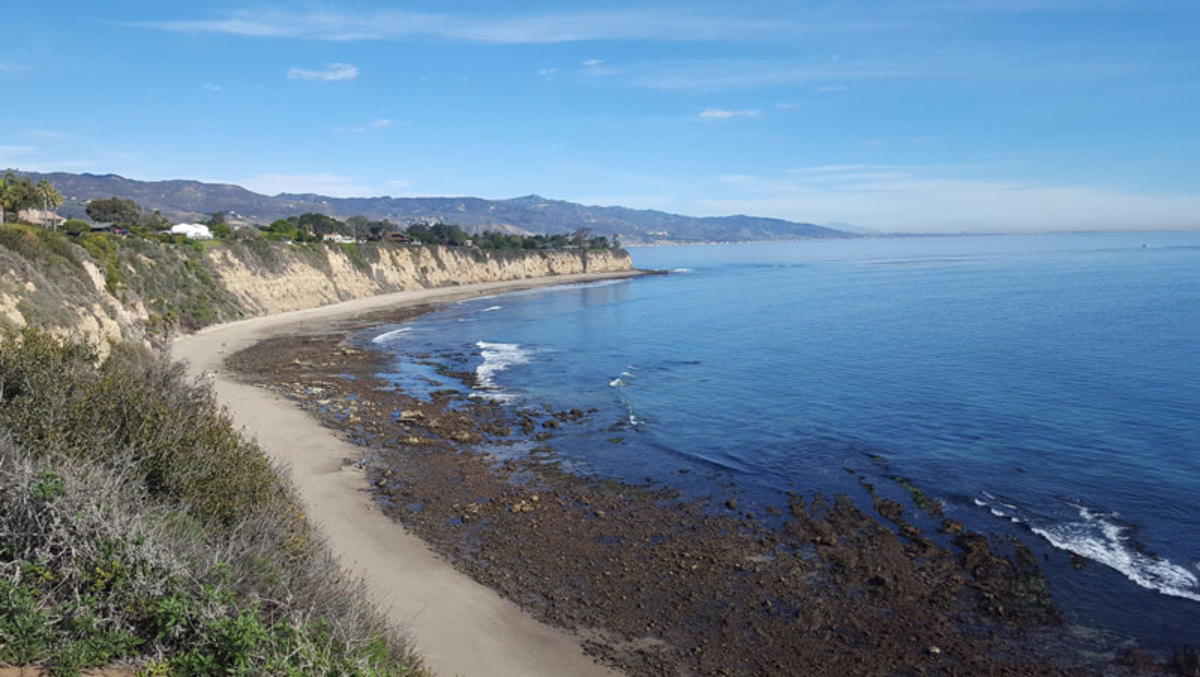 Breaking: This Is The Best Time Of Year To Go Tidepooling In L.a 