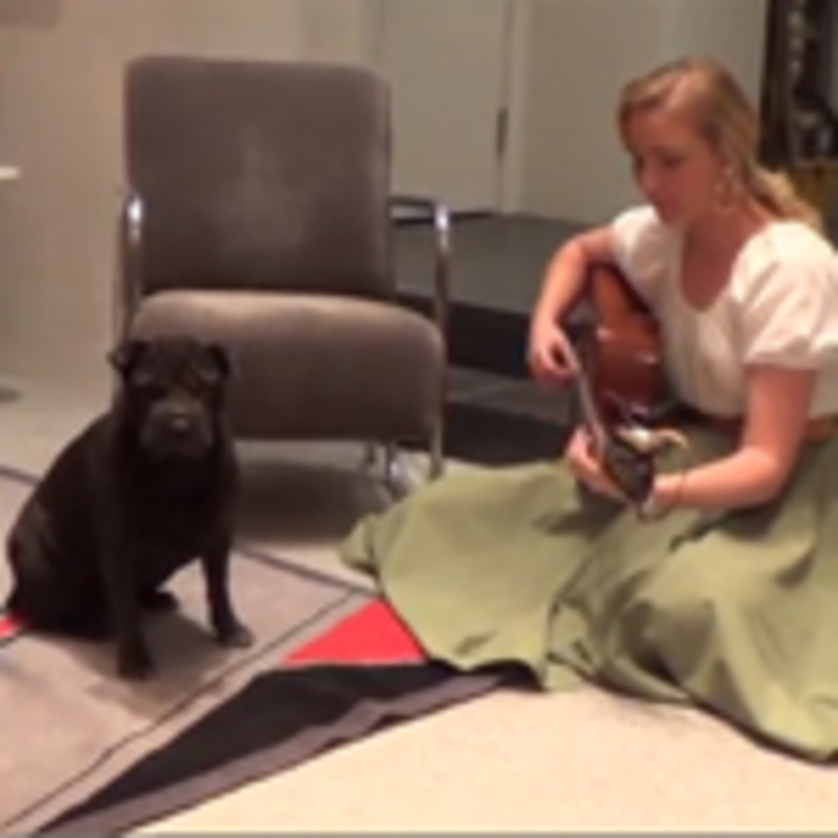 Cute Dog Video: Mary Meets Maggie - LAmag