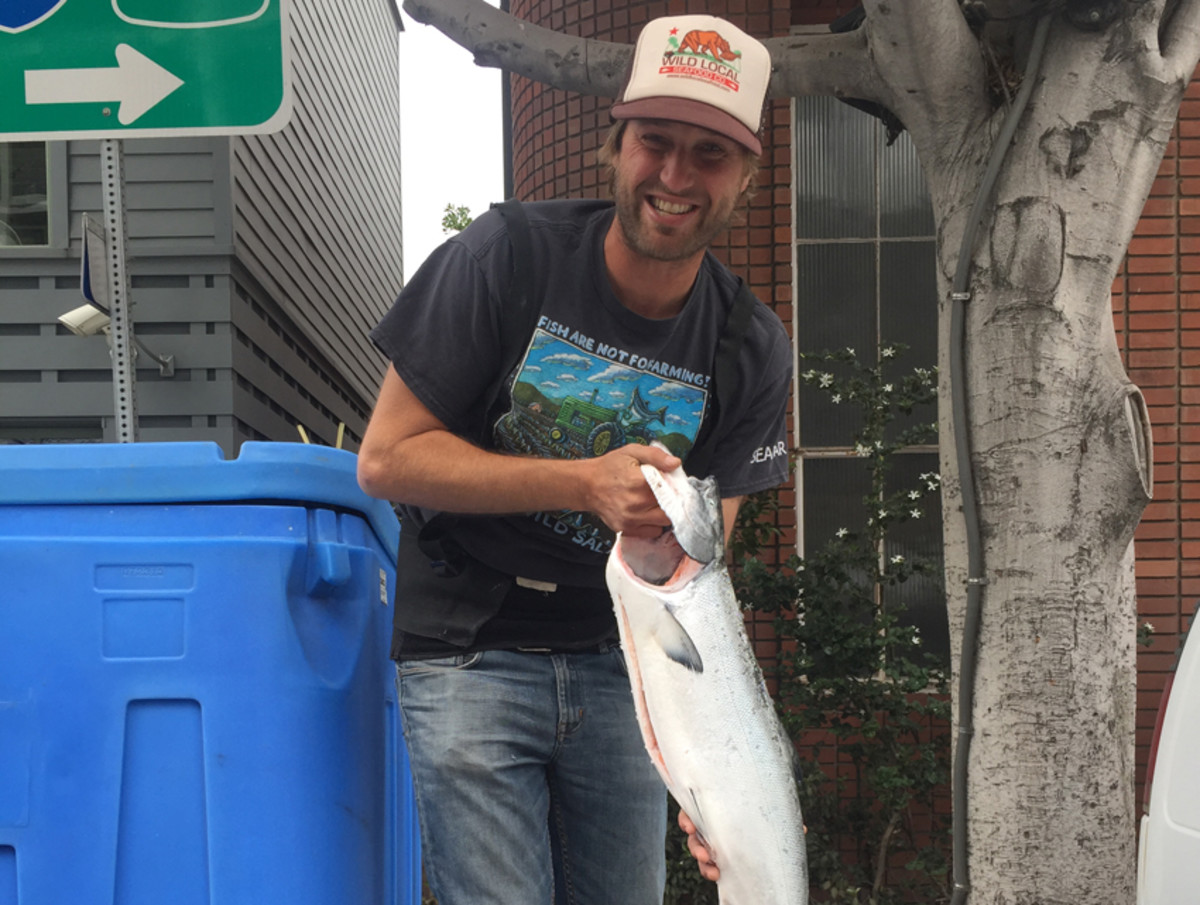 California Wild King Salmon