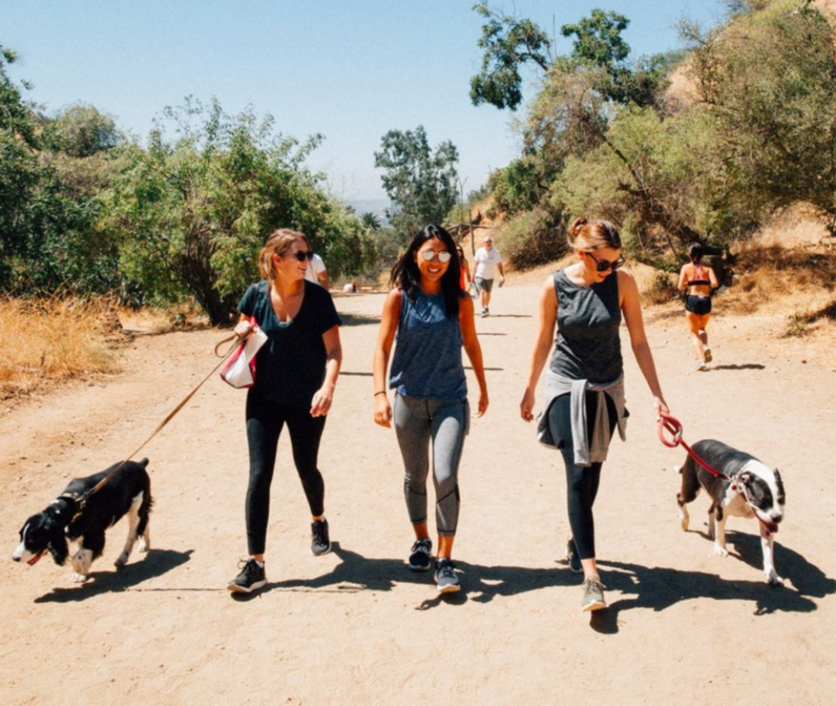 Hike runyon canyon on sale with a rescue dog