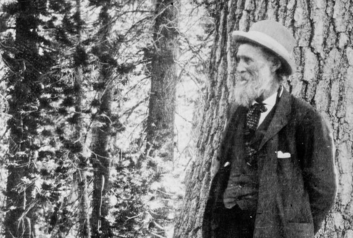 John Muir Is an Icon of Conservation. He Was Also Racist. LAmag