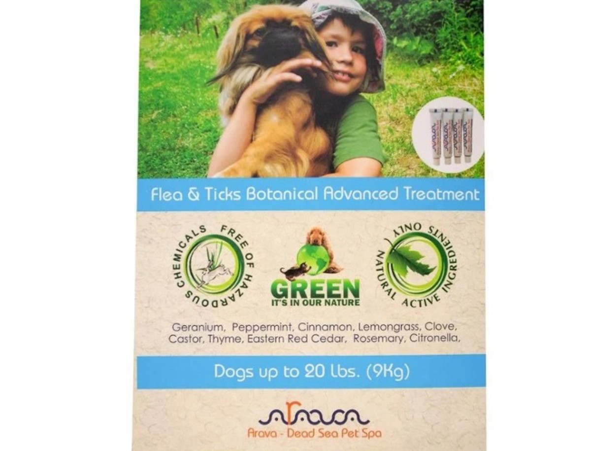 20 Best Flea Treatments For Dogs LAmag Culture Food Fashion