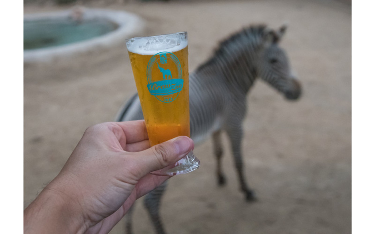 Have Some Beers. Tell a Zebra about Your Screenplay. "Brew at the Zoo