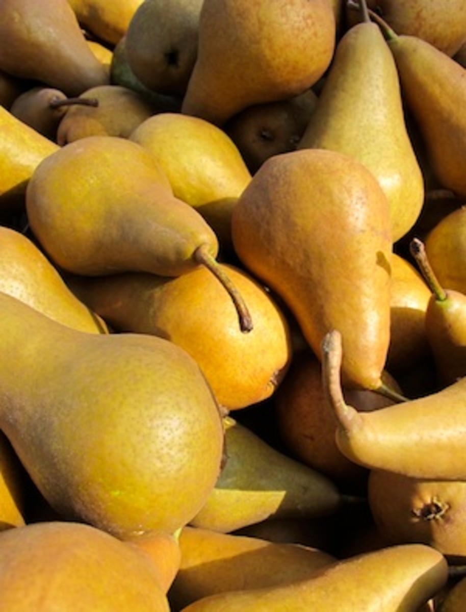 Your Guide to Pears: Bartlett, Bosc and More