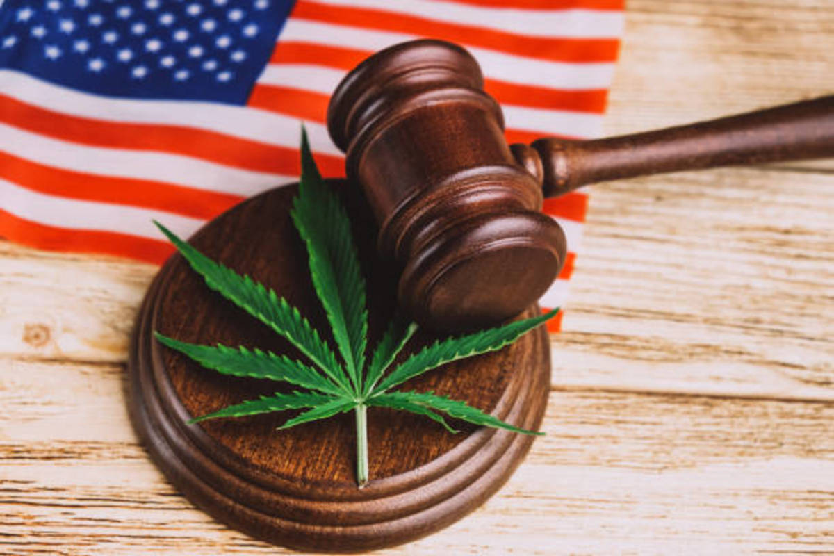 Abortion Rights And Recreational Marijuana Use On Florida Ballots This ...